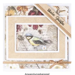 Klappkarten-Set, weiß, 14,5cm x 14,5cm, 240g/m², inkl. Umschläge, 50 Stück