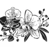 Laser-Kunststoff-Schablone, DIN A4, Orchideen 2
