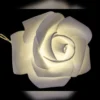 LED-Lichterkette, Rosen, 10 LED-Lichter in Warmweiß, inkl. Timer