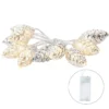 LED-Lichterkette Tannenzapfen, silber, 10 LEDs in Warmweiß, 1,20m lang, Timer