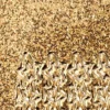 Microglitter-Sticker, Sternen-Bordüre, gold