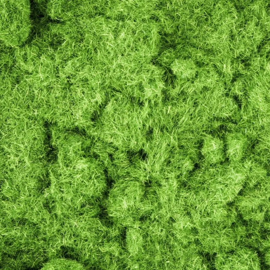 Moos-Faser, ca. 30g
