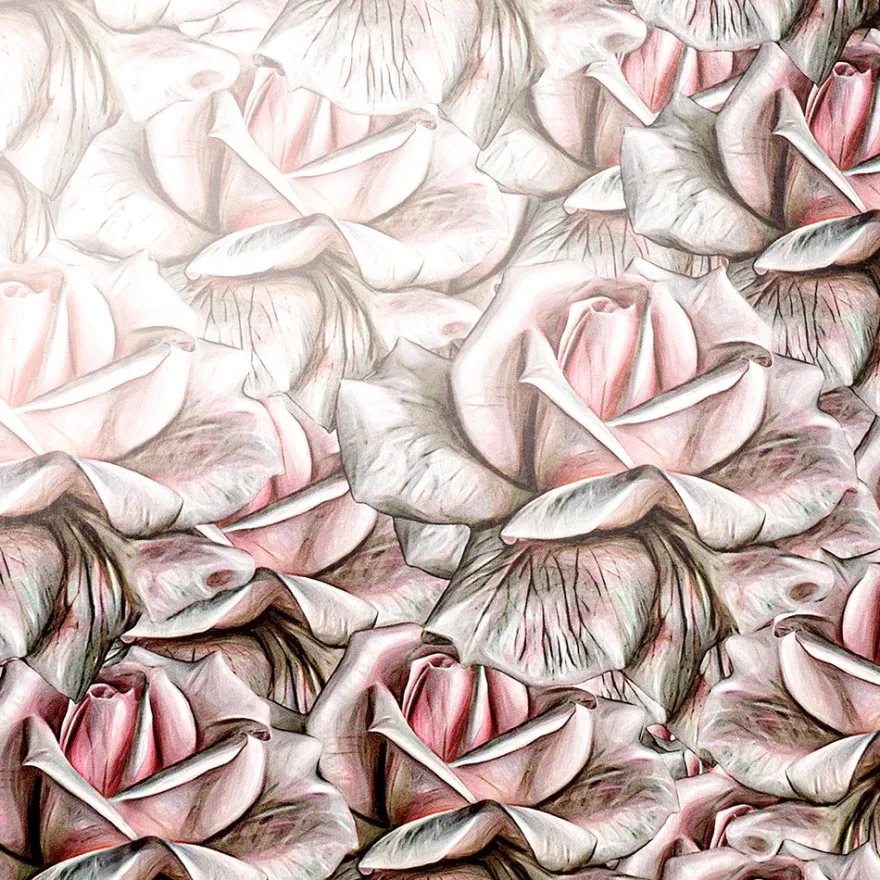 Motiv-Glossy-Karton, Elegante Rosen, 2 verschiedene Designs, DIN A4, 20 Bogen