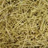 Pailletten-Nadeln, Gold, 1 cm, Köpfchen: 1,3 mm