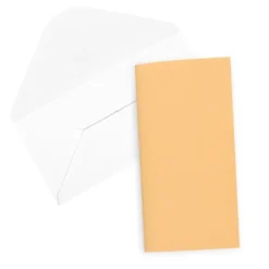 Perlmutt-Grußkarten, Glitzer-Effekt, 10,5cm x 21cm, 5 Farben, inkl. Umschläge, 10 Stück