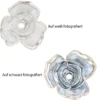 Perlmutt-Rosen, Ø2,5cm, 10 Stück, perlmutt
