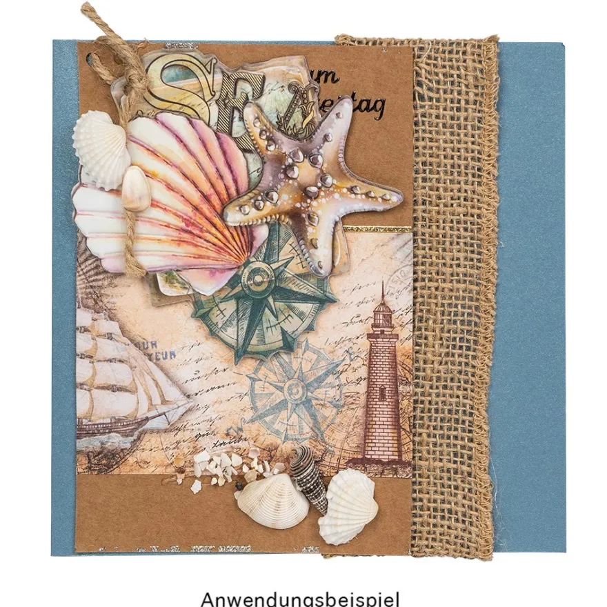 Potpourri, Muscheln, 450g, natur
