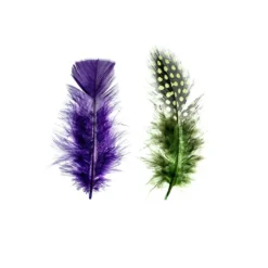 Premium-Flausch-Federn Duo, schlicht & gesprenkelt, 10g, grün, blau, violett
