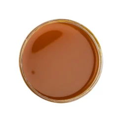 Premium-Tauchfarbe, Farbglas-Effekt, goldgelb, 250ml