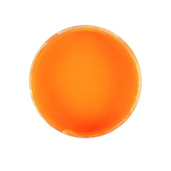 Premium-Tauchfarbe, Orange, 250ml
