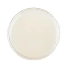 Premium-Tauchlack, Glas-Effekt, hochglänzend, kristallklar, 250ml
