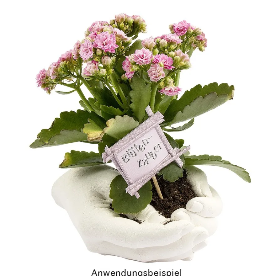 Schnellabformmasse, Alginat, 1kg