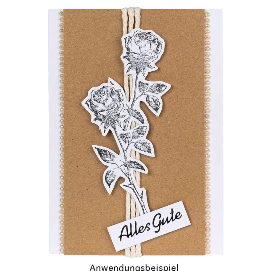 Stempel, Kolibris, Blüten & Bordüren, verschiedene Designs & Größen, 9 Stück