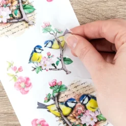 Transparent-Stickerbogen, Vintage Vögel & Schmetterlinge, versch. Designs, 10cm x 30cm, 10 Bogen
