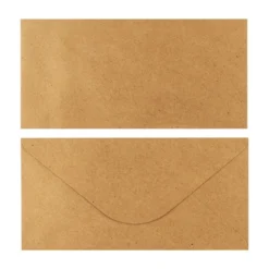 Umschläge, Kraftpapier, DIN lang (11cm x 22cm), 110 g/m², 100 Stück