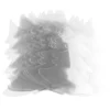 Windradfolien-Scheiben, Tanne, 16cm x 14,5cm, transparent, 500µ, 20 Stück